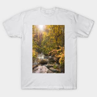 Peaceful Stream Through Autumn Forest in Sunshine T-Shirt